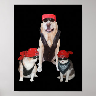 Póster Funny Biker Mascotas