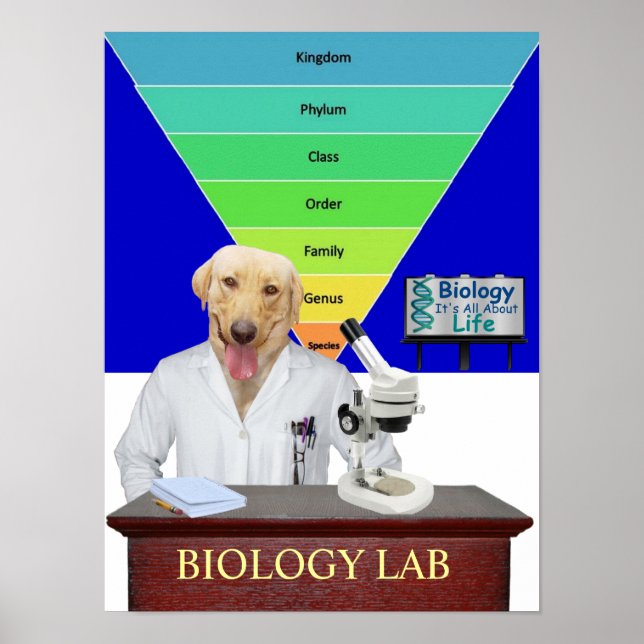 Póster Funny Biology Lab Poster para profesores (Frente)
