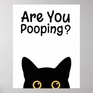 Póster Funny Black Cat Sign - Are You Pooping?
