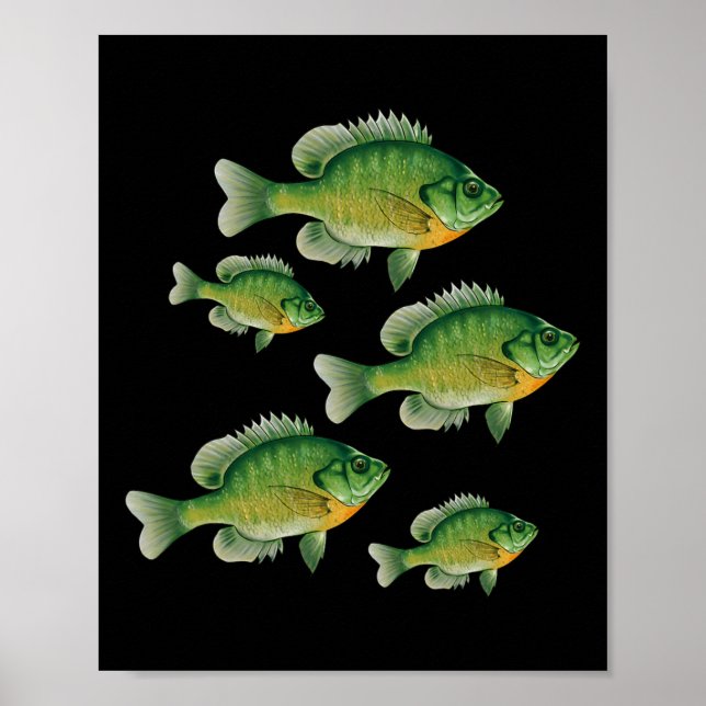 Póster Funny Bluegill Sunfish Fishing Freshwater Fish Ang (Frente)