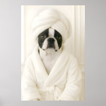 Funny Boston Terrier Bathroom Print, Terrier In