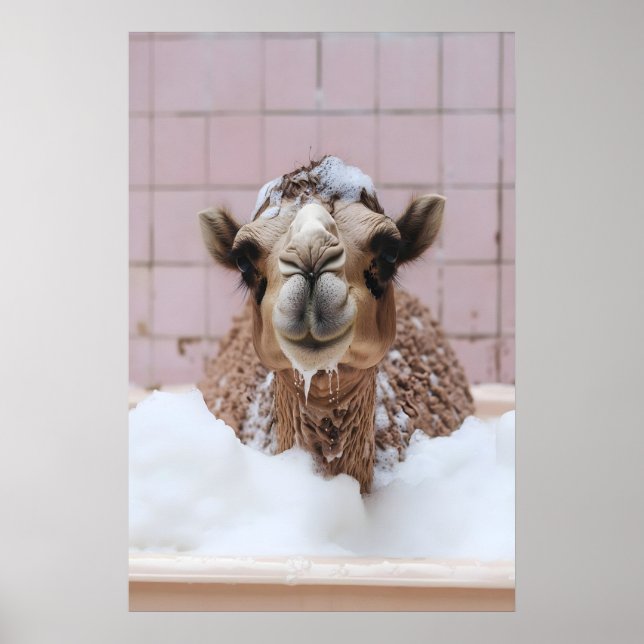 Póster Funny Camel Bubble Bath Art, Whimsical Animal (Frente)