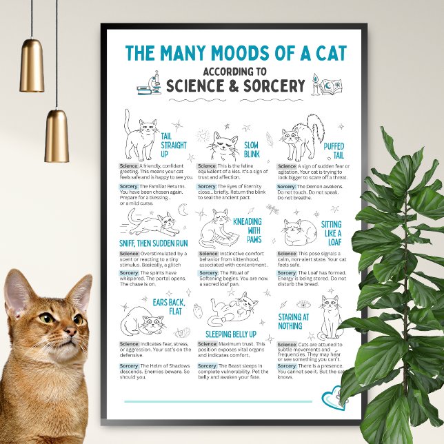 Póster Funny Cat Body Language Poster – Feline Mood Chart (Subido por el creador)