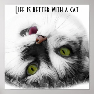 Póster Funny Cat classic