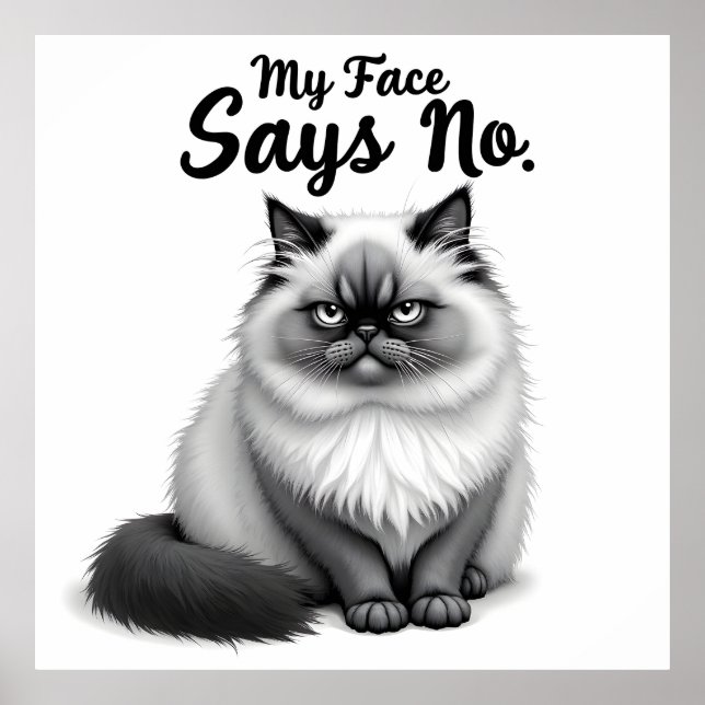 Póster Funny Cat Face Illustration – Minimal Cute Cat Art (Frente)