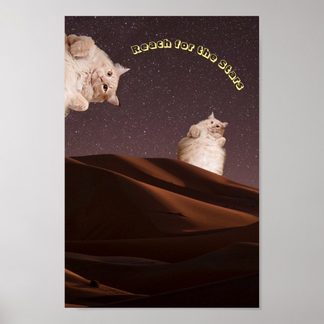 Póster Funny Cat Inspiration Poster (Frente)