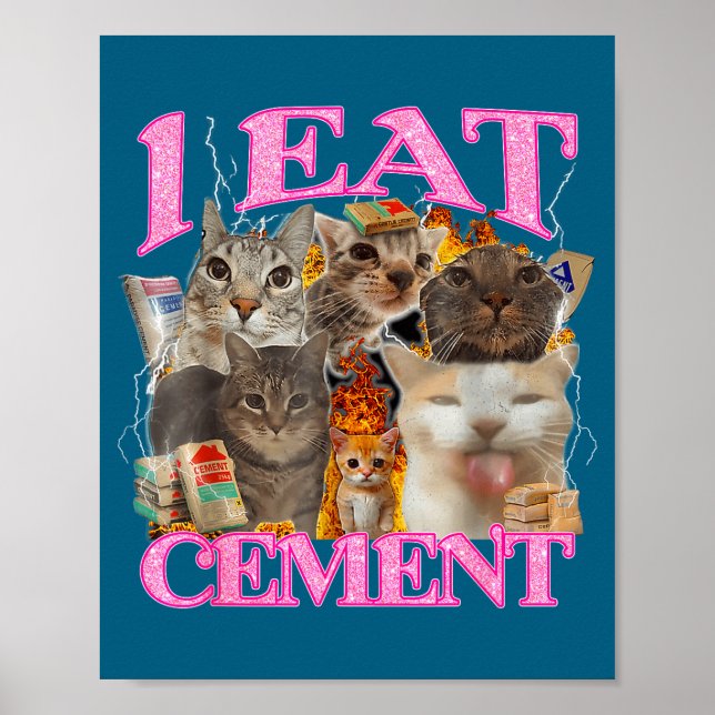 Póster Funny Cat Meme I Eat Cement Japanese Quote Animal  (Frente)