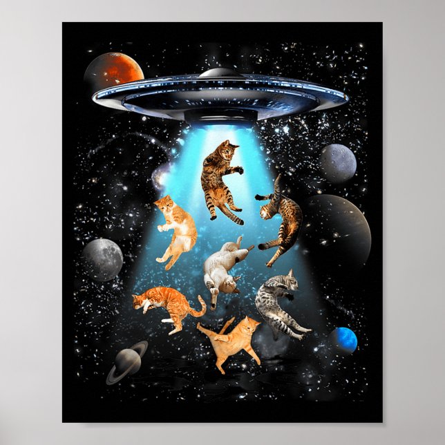 Póster Funny Cat Men Women Graphic For Men Women Kids  (Frente)