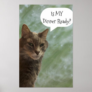 Póster Funny Cat Photo Poster