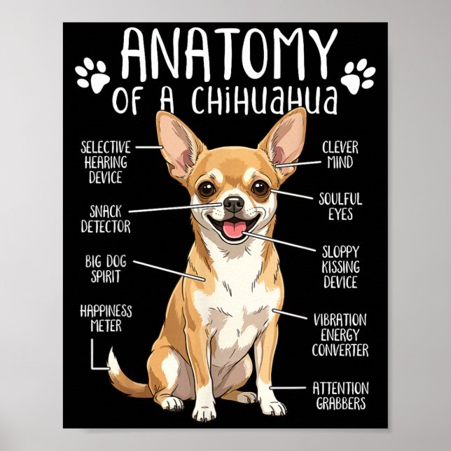 Póster Funny Chihuahua Anatomy Of A Chihuahua Dog Owner P (Frente)