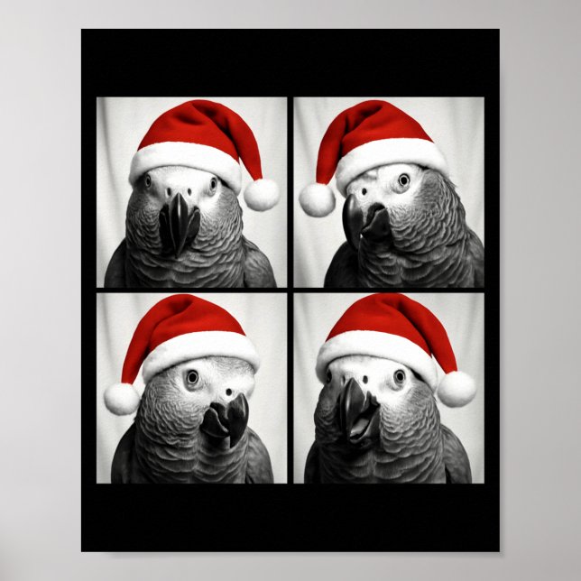 Póster Funny Christmas African G Parrot Santa Photo Booth (Frente)