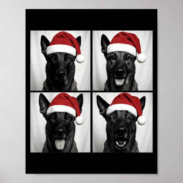Póster Funny Christmas Belgian Malinois Santa Dog Lover P (Frente)