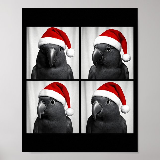 Póster Funny Christmas Eclectus Parrot Santa Photo Booth  (Frente)