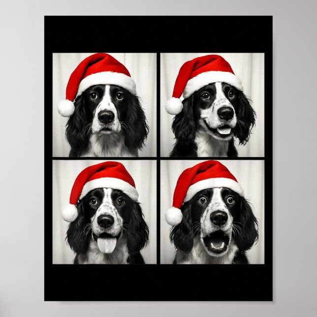 Póster Funny Christmas English Springer Spaniel Santa Pho (Frente)
