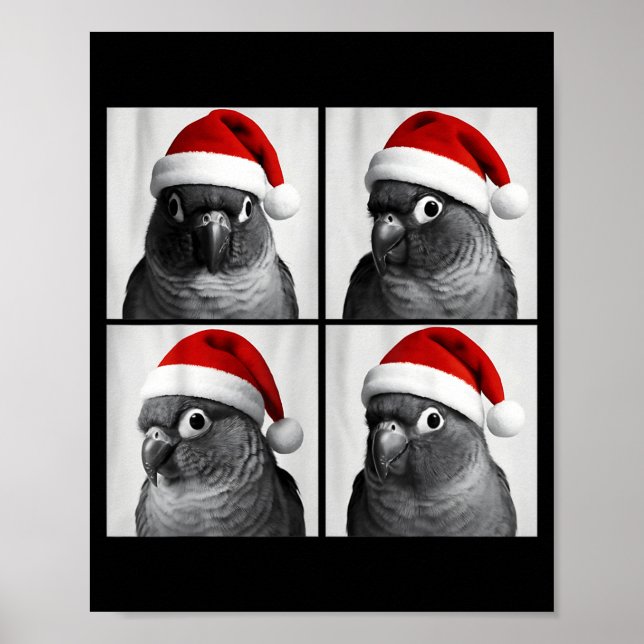 Póster Funny Christmas Green Cheek Conure Santa Photo Boo (Frente)