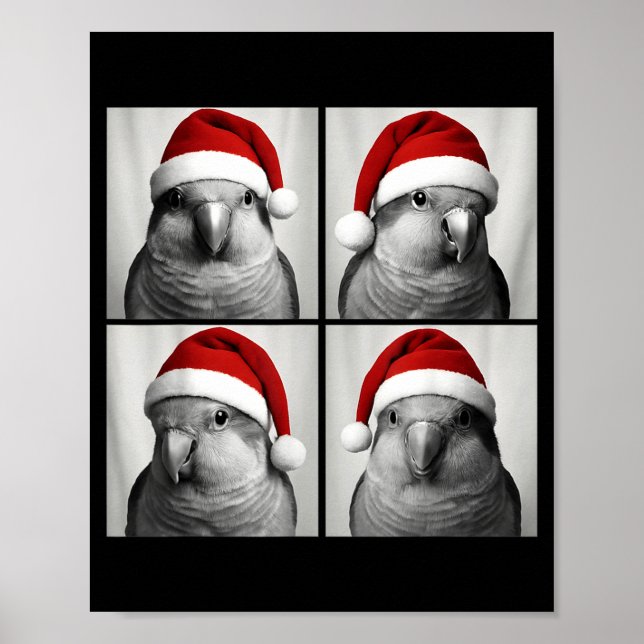 Póster Funny Christmas Quaker Parrot Santa Photo Booth  (Frente)
