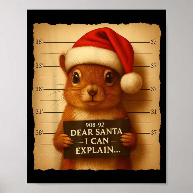 Póster Funny Christmas Squirrel - Cute Squirrel Santa Hat (Frente)