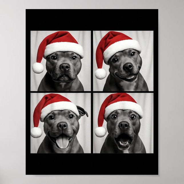 Póster Funny Christmas Staffordshire Bull Terrier Santa P (Frente)