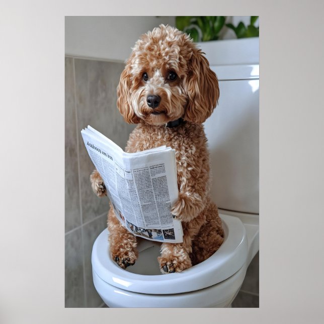 Póster Funny Cockapoo Bathroom Print, Toilet Newspaper (Frente)