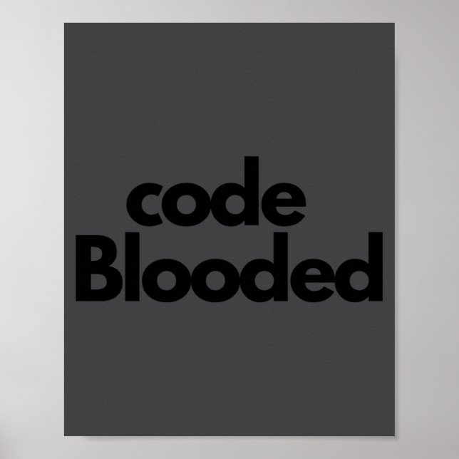 Póster Funny Coder Computer Programmer  (Frente)