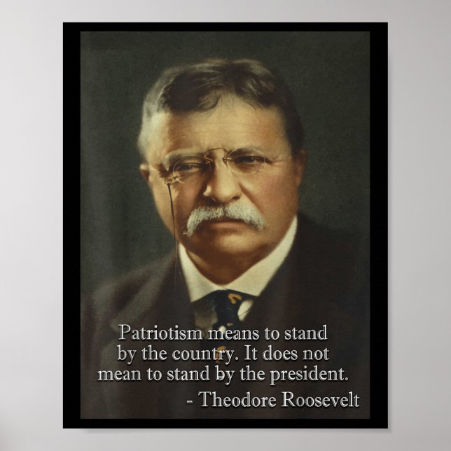 Póster Funny Dank Meme Diseña Theodore Teddy Roosevelt M (Frente)