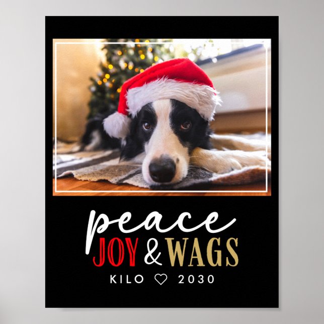 Póster Funny Dog Lover Christmas Photo Cute D  (Frente)