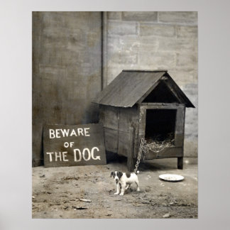 Póster Funny Dog Poster