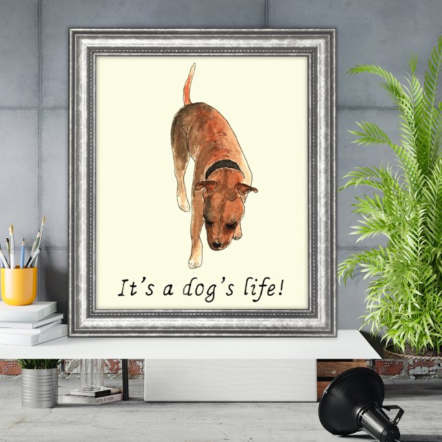 Póster Funny Dogs life Staffordshire Bull Terrier Art (Its a dogs life quote and watercolor Staffordshire bull terrier poster)