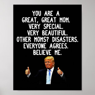 Póster Funny Donald Trump: Conservación de regalo mordaz 