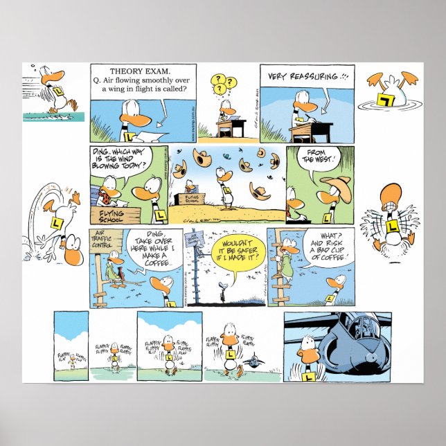 Póster Funny Duck Aviation Personalizado Poster (Frente)