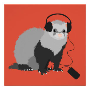 Póster Funny Ferret Music Lover