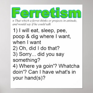 Póster Funny Ferrets