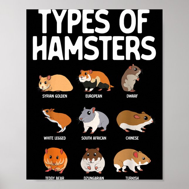 Póster Funny Hamster Art For Men Women Boys Girls Hamster (Frente)