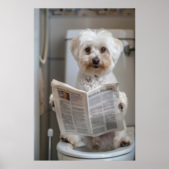 Póster Funny Havanese Dog Print, Bathroom Newspaper Art (Frente)