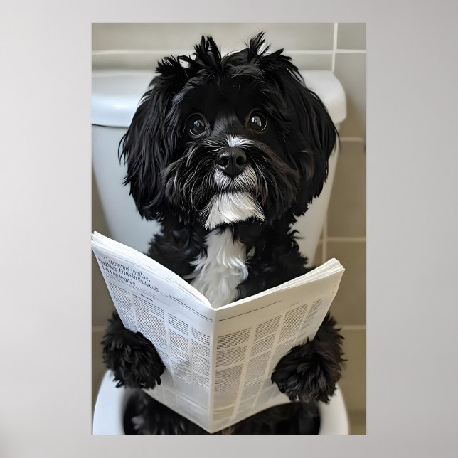 Póster Funny Havanese Dog Print, Newspaper Bathroom (Frente)