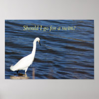 Funny Heron
