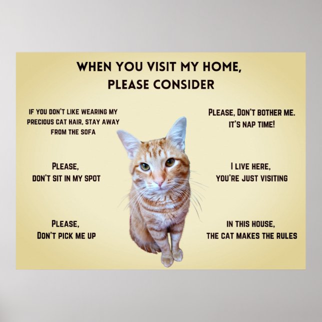 Póster Funny House Rules personalizado con foto de gato (Frente)