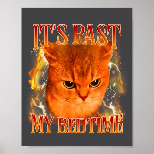 Póster Funny It's Past My Bedtime Cat Meme Animals Humor  (Frente)