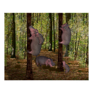 Póster Funny Koala-Wannabe Hippos