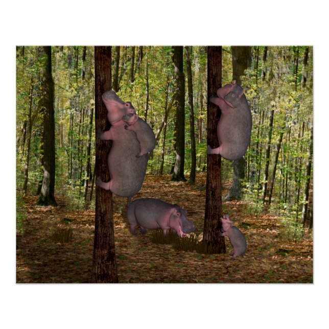 Póster Funny Koala-Wannabe Hippos (Anverso)
