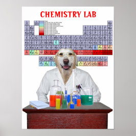 Póster Funny Lab Chemistry Poster para profesores