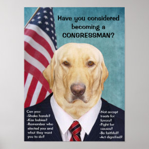 Póster Funny Lab Congressman Poster