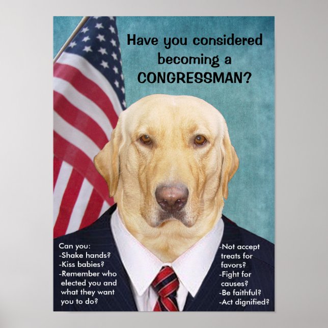 Póster Funny Lab Congressman Poster (Frente)