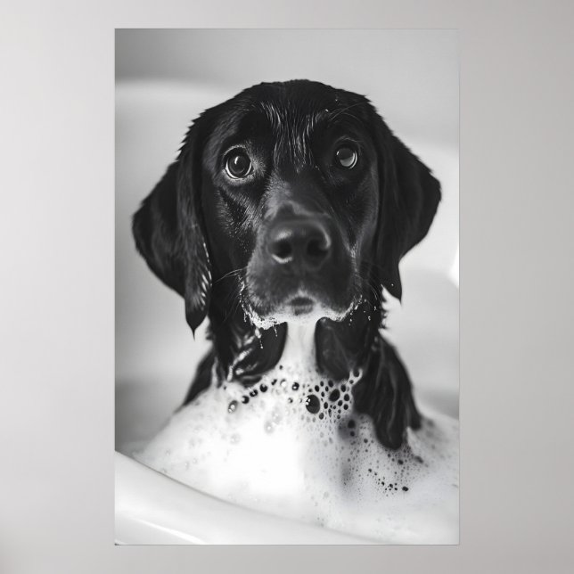 Póster Funny Labrador Bubble Bath Print, Quirky Bathroom (Frente)