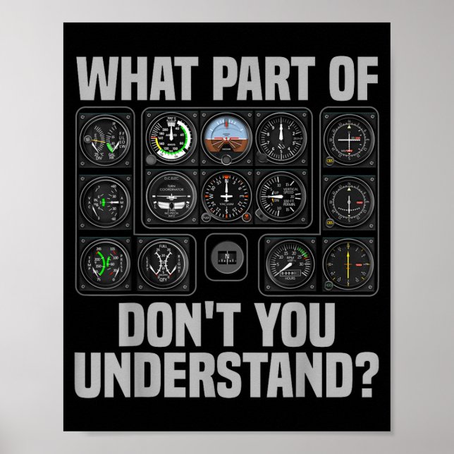 Póster Funny Lot Design For Men Women Airplane Airline Lo (Frente)