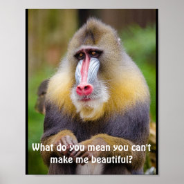 Póster Funny Mandrill Stylistas