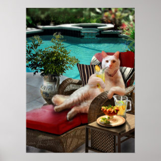 Póster Funny Mascota Poster Cat Luxury Vacation