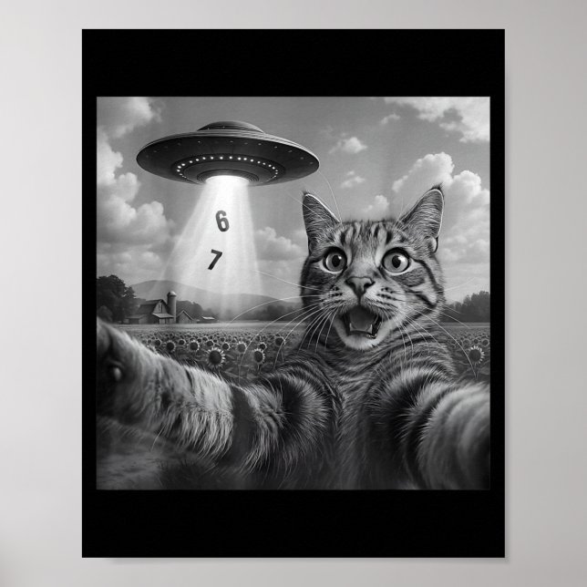 Póster Funny Meme Cat Selfie Six Seven Retro Cat 67 Anima (Frente)