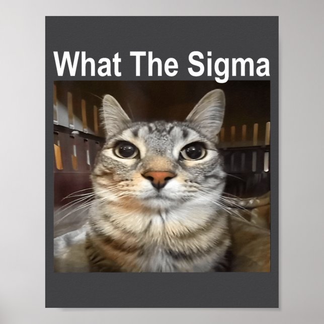 Póster Funny Meme Cat What The Sigma Cute Cat Meme Quote  (Frente)