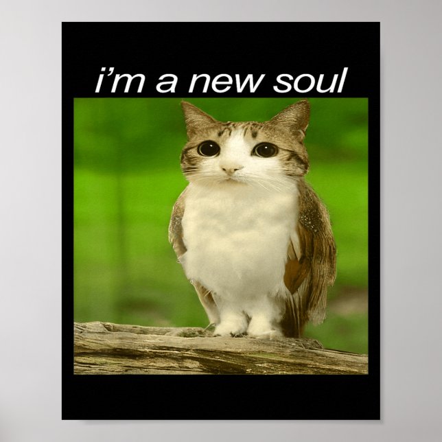 Póster Funny Meowl Cat Owl Brainrot Cursed Internet Silly (Frente)